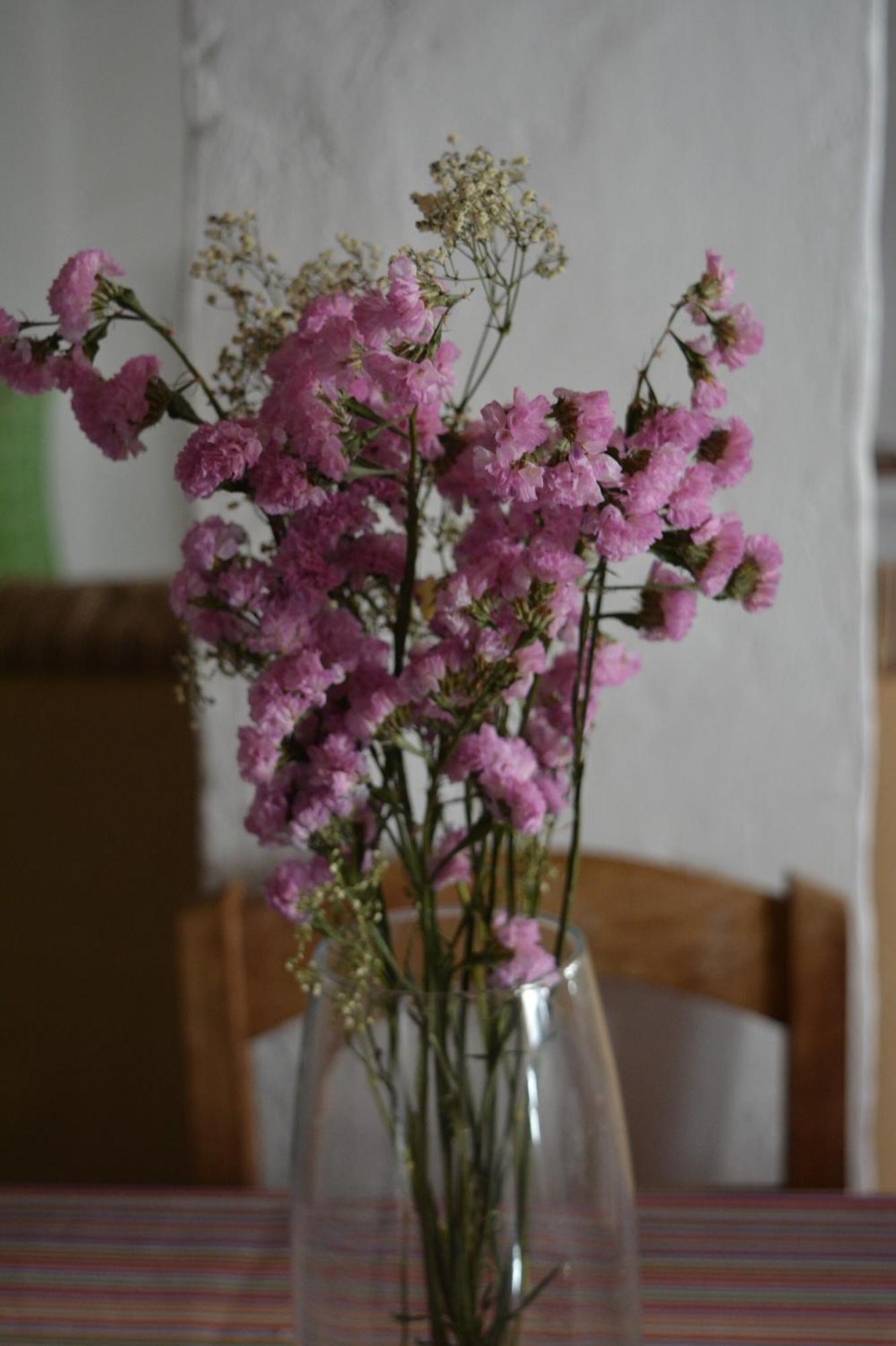 La Carrihuela Guest House Algodonales Room photo