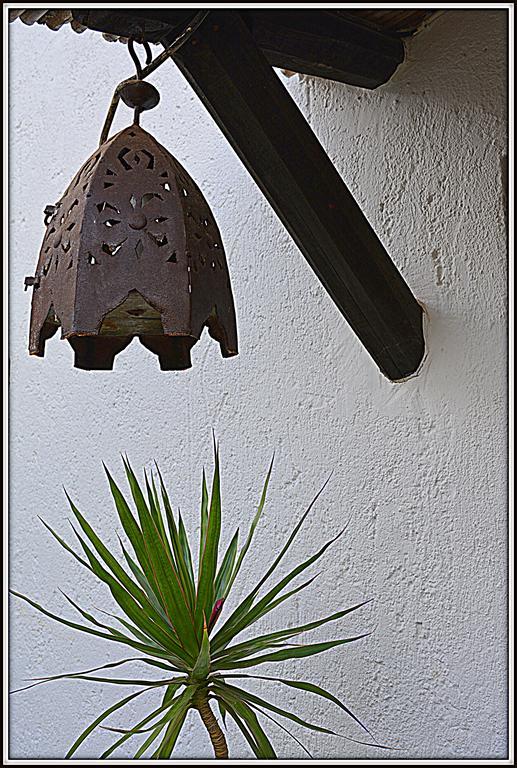La Carrihuela Guest House Algodonales Exterior photo