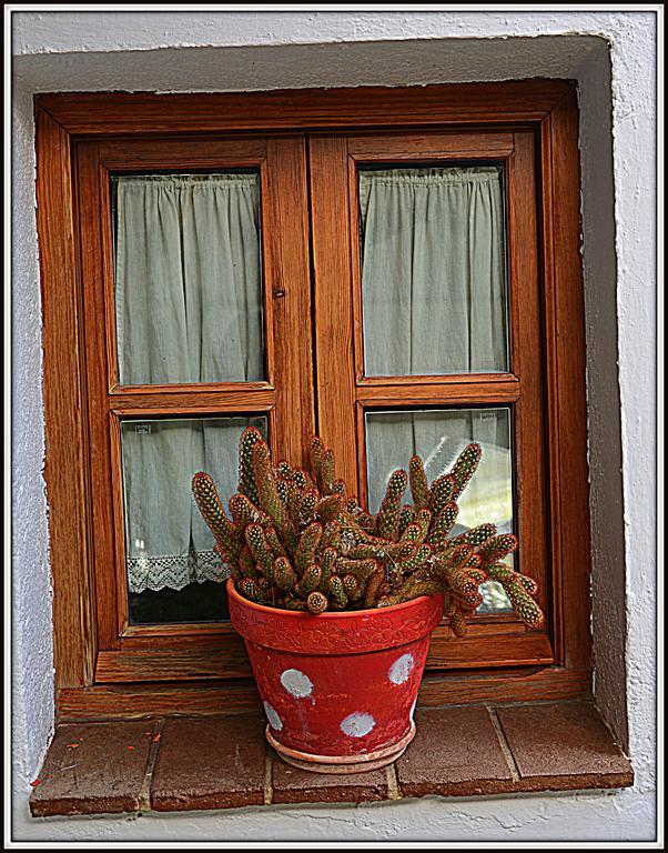 La Carrihuela Guest House Algodonales Exterior photo